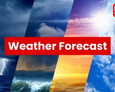 🌤️ Temperature Drops in Nashik; Early Signs of Winter Felt